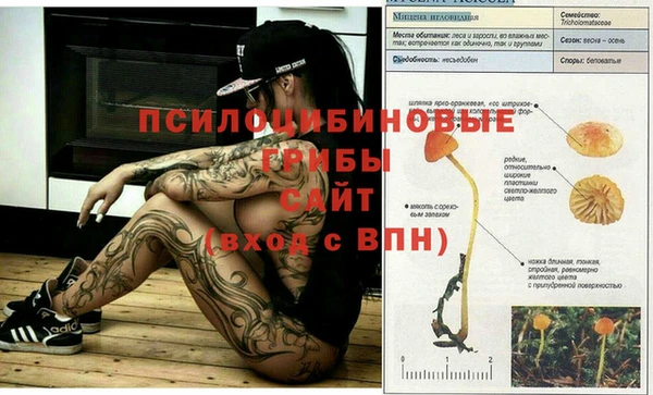 дистиллят марихуана Баксан